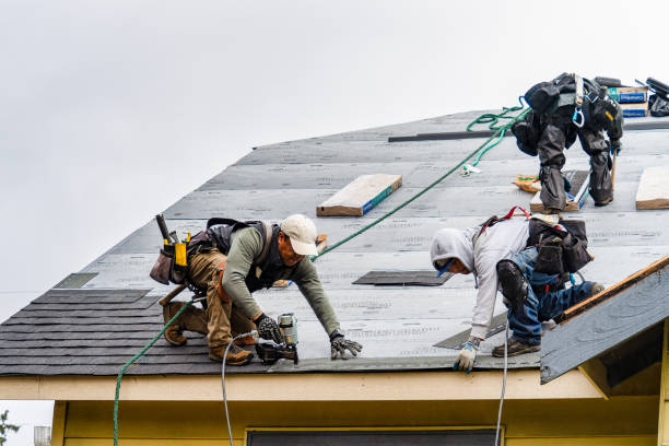 Professional Roofing technician working in Nichols, IA